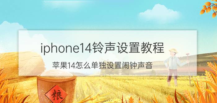 iphone14铃声设置教程 苹果14怎么单独设置闹钟声音？